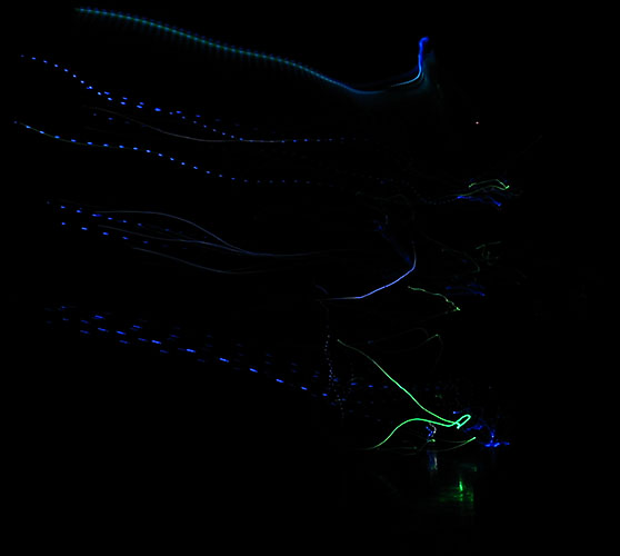 dancer with motion-sensitive illuminated costume